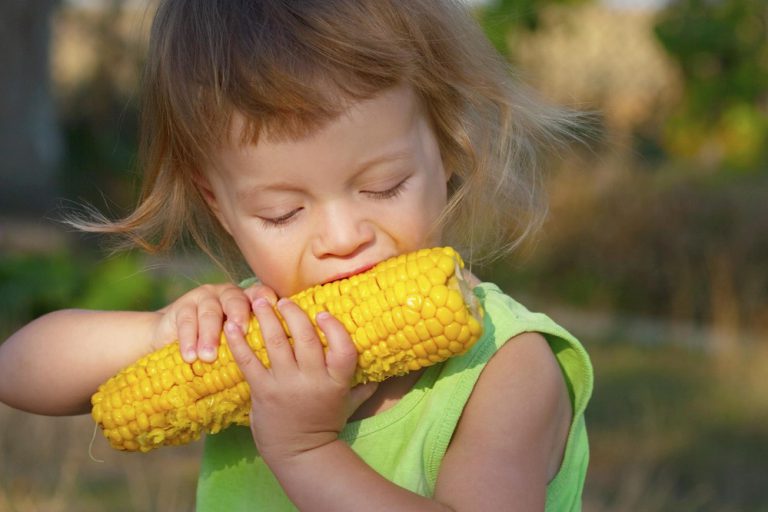 alimentação infantil