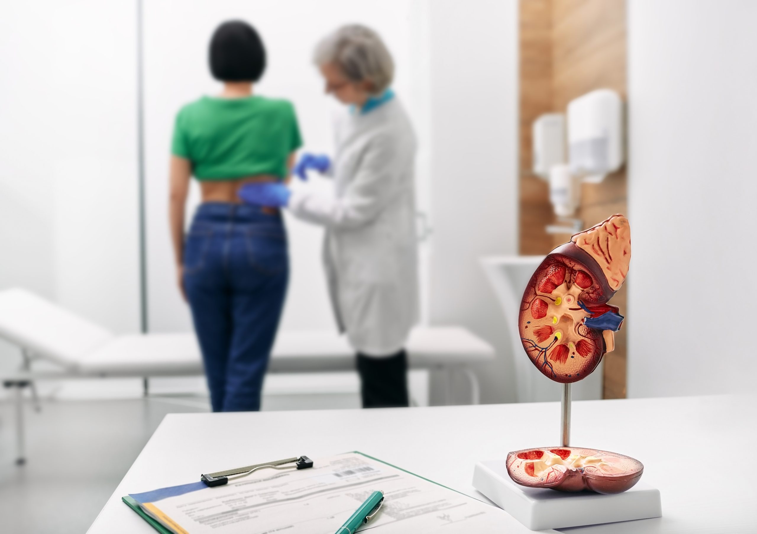 Treatment of kidney diseases at urology. Urologist palpation woman's back with kidney pain while consultation at medical clinic